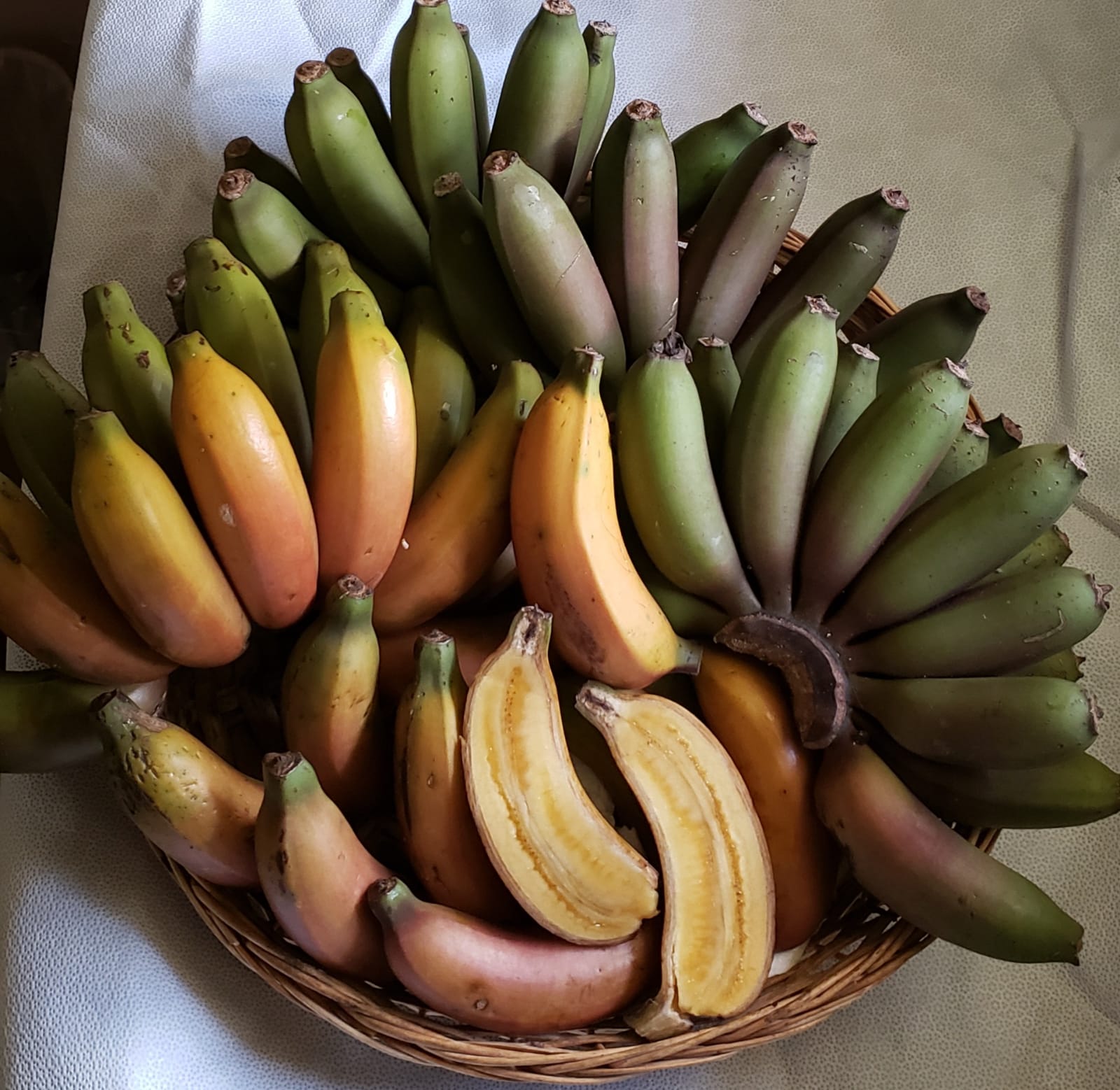 Fruit Variety Picture